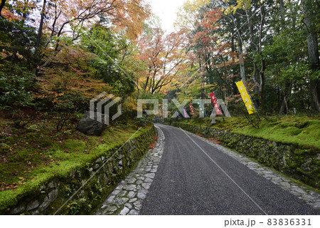 赤山禅院　参道 83836331