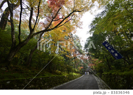 赤山禅院　参道 83836346