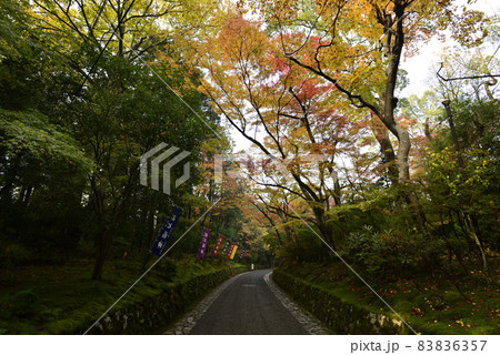 赤山禅院　参道 83836357