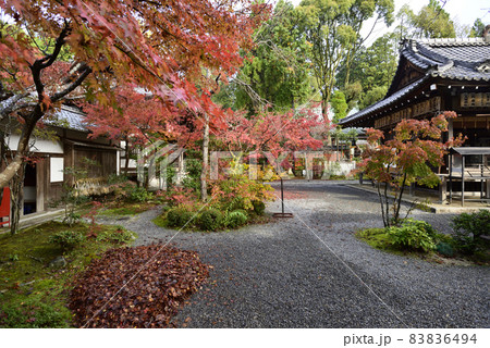 赤山禅院　紅葉 83836494