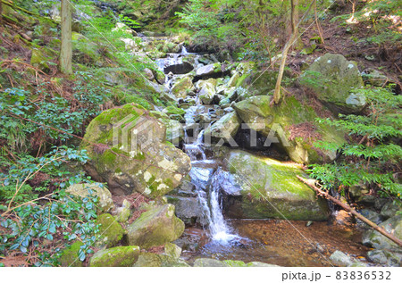 山の中の滝 山の中の滝 83836532