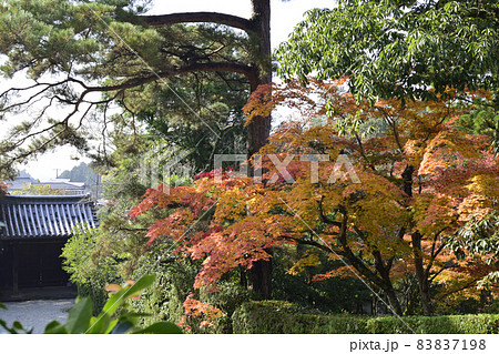 修学院離宮 中離宮 紅葉 修学院離宮 中離宮 紅葉 83837198