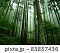霧深い山の風景1 83837436