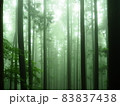 霧深い山の風景3 83837438