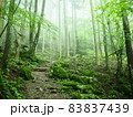 霧深い山の風景4 83837439