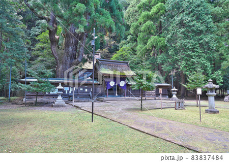 【若狭姫神社 下社】 福井県小浜市遠敷 83837484