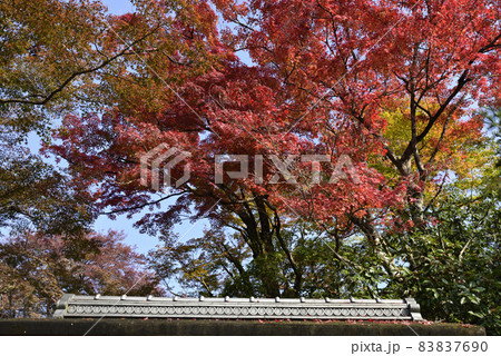 修学院離宮 上離宮 御成門の紅葉 修学院離宮 上離宮 御成門の紅葉 83837690
