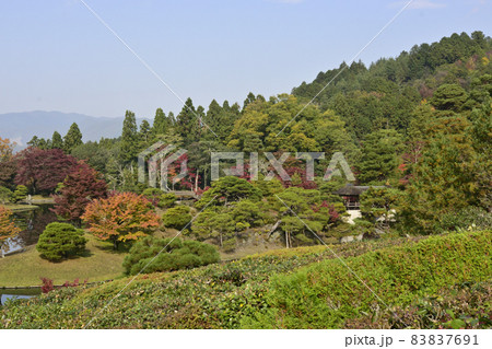 修学院離宮 上離宮 浴龍池 修学院離宮 上離宮 浴龍池 83837691