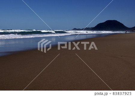 鳥取　四季の散歩　秋　砂丘 83837925