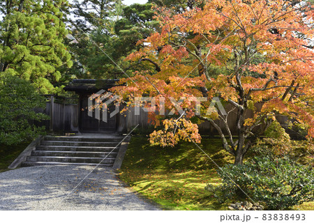 修学院離宮 下離宮 御幸門の紅葉 修学院離宮 下離宮 御幸門の紅葉 83838493