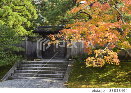 修学院離宮 下離宮 御幸門の紅葉 修学院離宮 下離宮 御幸門の紅葉 83838494