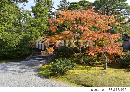 修学院離宮 下離宮 御幸門の紅葉 修学院離宮 下離宮 御幸門の紅葉 83838495