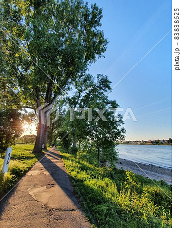 Pedestrian near to a big river - Rhein by Bonn Pedestrian near to a big river - Rhein by Bonn 83838625