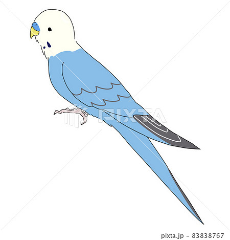 横を向いている青いセキセイインコのイラスト素材 8767