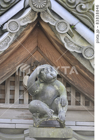 赤山禅院　手水舎の神猿 83838846
