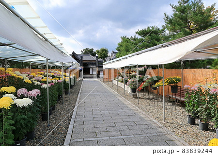 松代の城下町の景観 83839244