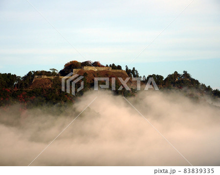 雲海と津和野城跡 雲海と津和野城跡 83839335