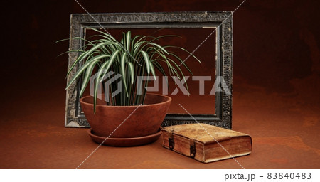 Pot with an old book and a picture frame Pot with an old book and a picture frame 83840483