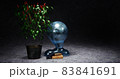 Pepper bush in a bucket with old books 83841691