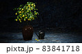 A pot of lemon and an old watering 83841718