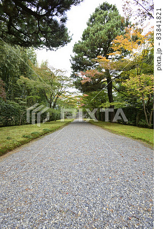 桂離宮 表門への道 桂離宮 表門への道 83841821