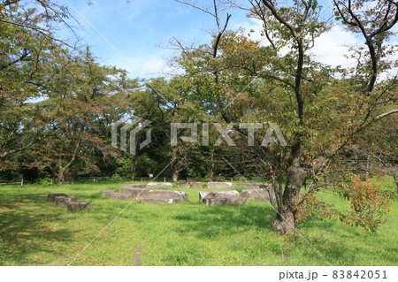 四十四田公園 83842051