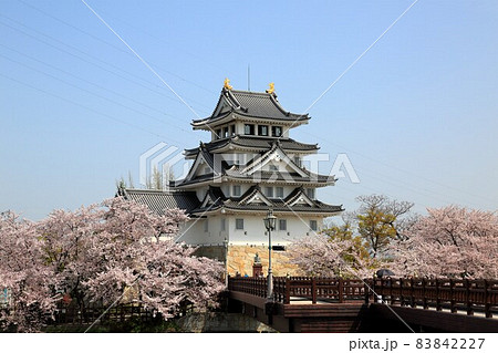 春の墨俣一夜城散策・6(岐阜県大垣市墨俣) 春の墨俣一夜城散策・6(岐阜県大垣市墨俣) 83842227