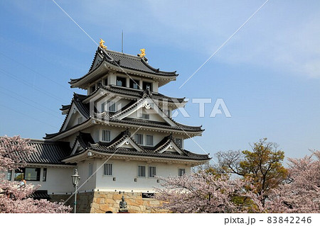 春の墨俣一夜城散策・21(岐阜県大垣市墨俣) 春の墨俣一夜城散策・21(岐阜県大垣市墨俣) 83842246