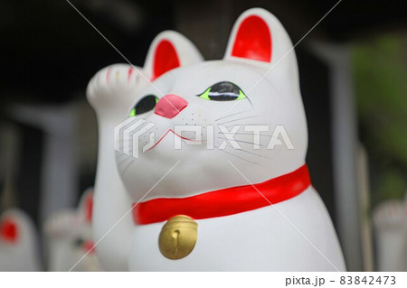 豪徳寺の招き猫 豪徳寺の招き猫 83842473