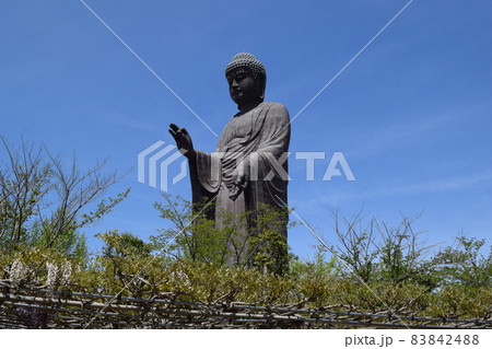 牛久大仏 世界最大のブロンズ立像の写真素材 [83842488] - PIXTA