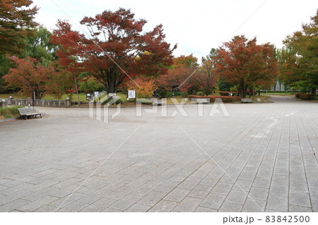 道の駅オアシス小布施と小布施総合公園 83842500