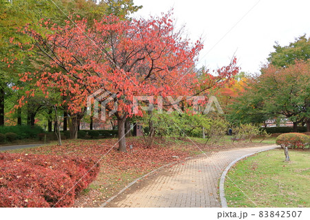 道の駅オアシス小布施と小布施総合公園 83842507