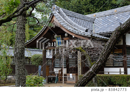 真間山弘法寺、大黒堂 真間山弘法寺、大黒堂 83842773