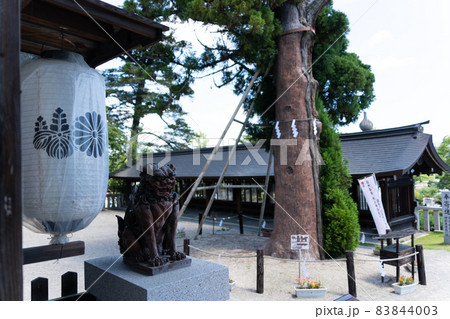 【岡山県】 吉備津彦神社 【岡山県】 吉備津彦神社 83844003