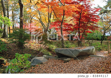 秋の盛岡城跡公園、ホタルの里 83844117