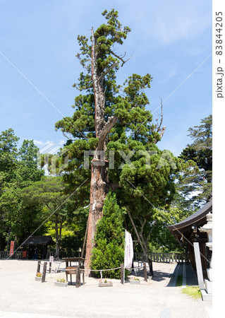 【岡山県】 吉備津彦神社 【岡山県】 吉備津彦神社 83844205