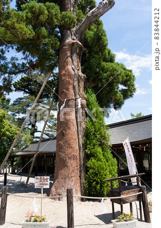 【岡山県】　吉備津彦神社 83844212