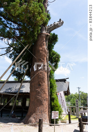 【岡山県】 吉備津彦神社 【岡山県】 吉備津彦神社 83844213