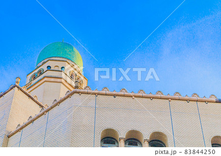 【神奈川の都市風景】横浜みなとみらい周辺の風景（横浜税関） 83844250