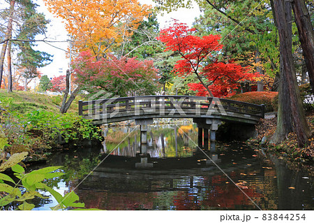 秋の盛岡城跡公園、鶴ヶ池に架かる橋 秋の盛岡城跡公園、鶴ヶ池に架かる橋 83844254