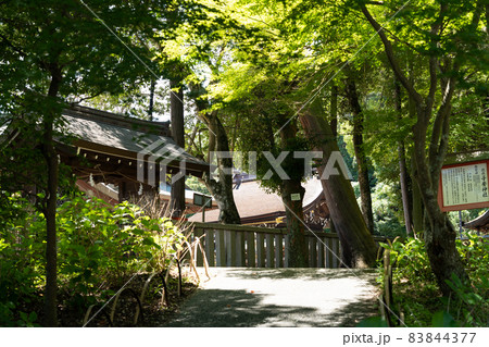 【岡山県】 吉備津彦神社 【岡山県】 吉備津彦神社 83844377