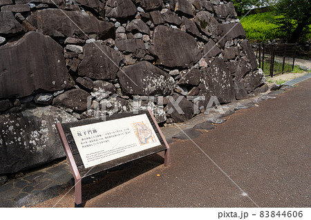 【山梨県】　舞鶴城公園 83844606