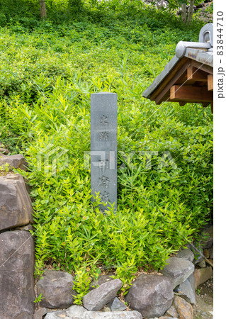 【山梨県】　舞鶴城公園 83844710