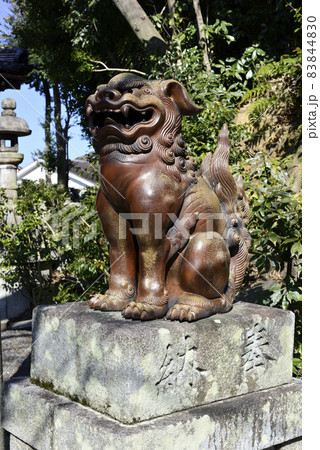 妙見堂 京都最古の狛犬(伊部狛犬) 妙見堂 京都最古の狛犬(伊部狛犬) 83844830