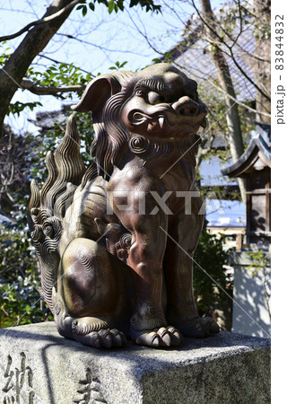 妙見堂　京都最古の狛犬（伊部狛犬） 83844832