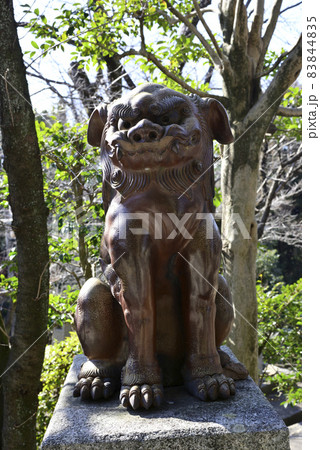 妙見堂 京都最古の狛犬(伊部狛犬) 妙見堂 京都最古の狛犬(伊部狛犬) 83844835
