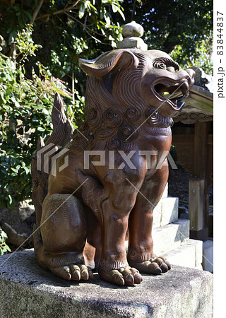 妙見堂 京都最古の狛犬(伊部狛犬) 妙見堂 京都最古の狛犬(伊部狛犬) 83844837