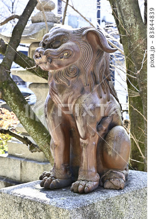 妙見堂 京都最古の狛犬(伊部狛犬) 妙見堂 京都最古の狛犬(伊部狛犬) 83844839