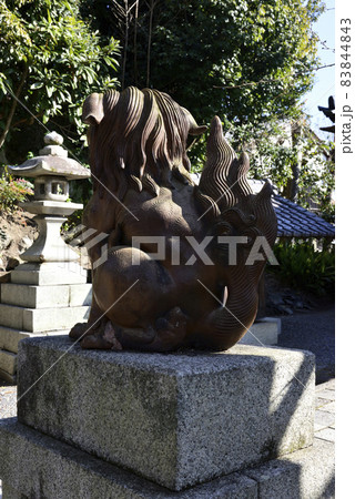 妙見堂　京都最古の狛犬（伊部狛犬） 83844843