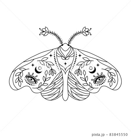 Moth in doodle style 83845550